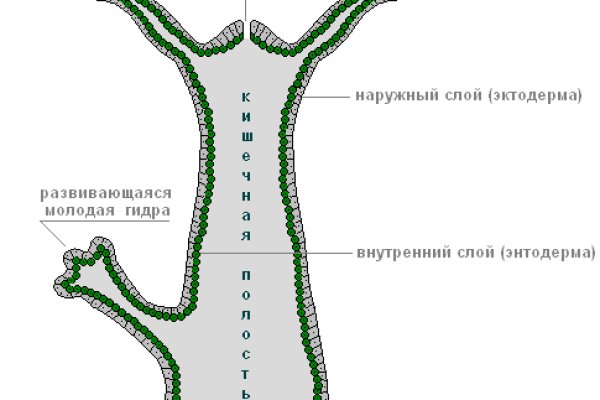 Зеркало на кракен