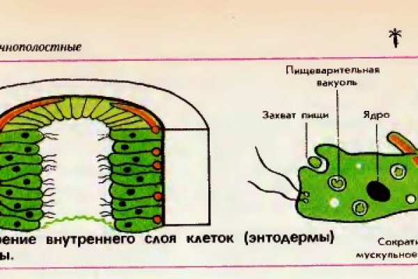 Вывести деньги с кракена