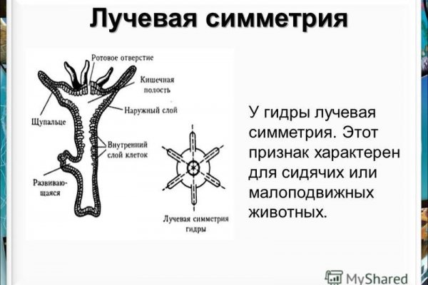 Кракен даркнет сайт