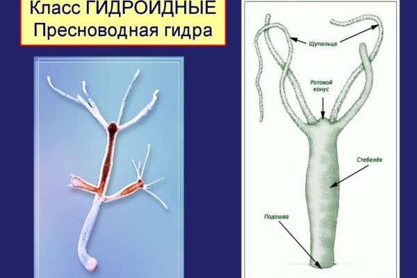 Кракен онион ссылки